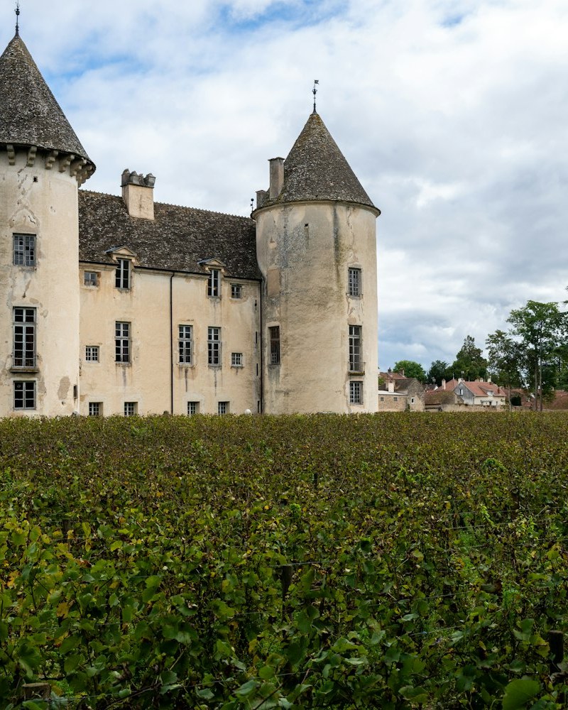 Château et vignes de Bourgogne